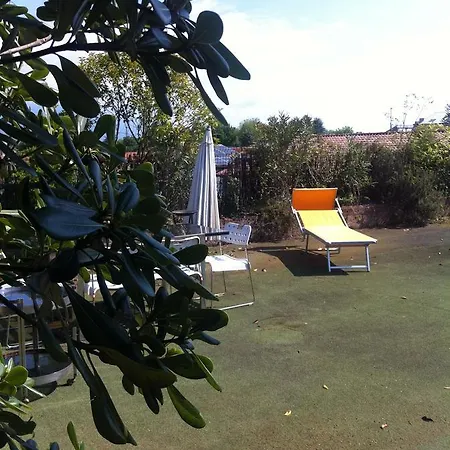 Libertyroofgarden *